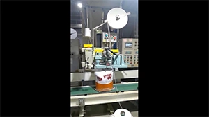 GM4900-3 Bag Top Folding Device